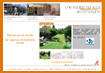 site internet agence immobilière à Bernin